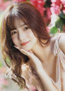 一只翼展1.3米的黑鸢类）撞上飞机左侧送角传感