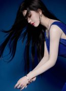 经地方纪委常委会会议研究并报地方