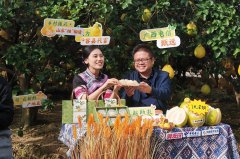 实现数据要素赋能产